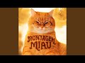MONTAGEM MIAU