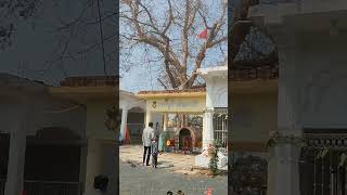 A New Home for Divine Blessings  Choti Mohad newly renovated Temple premise #askdushyant