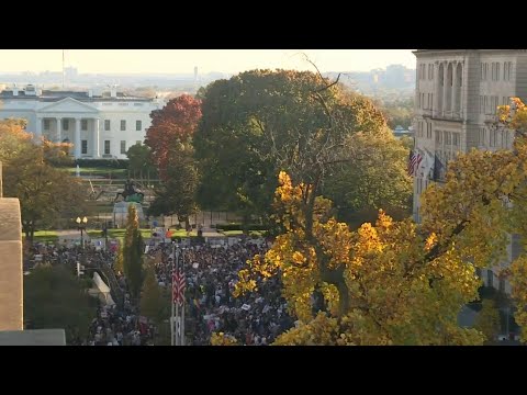 Vantage point view of celebrations outside White House after Biden win | AFP