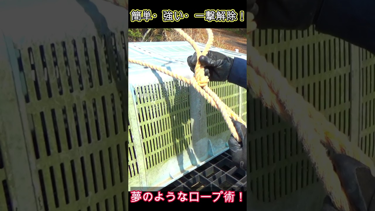 荷物の固定、もうこれでいい。夢のような南京結びです。