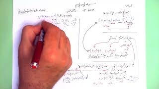 23 ★ قوالب التشبيه الإفراديّ image