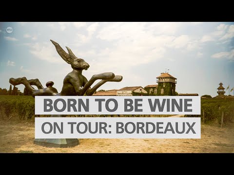BORN TO BE WINE on the road – Zu Besuch auf Chateau Smith Haut Lafitte