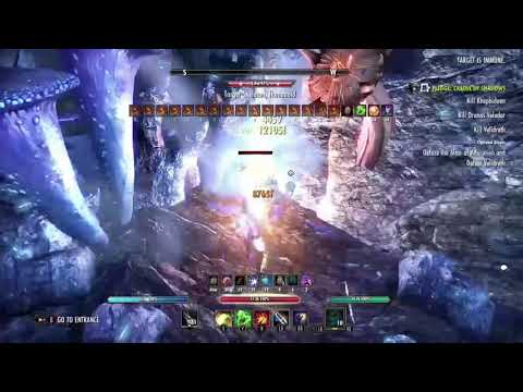 Magicka Warden 41.5k no bear dps (no siroria, thief mundus & raid cp)