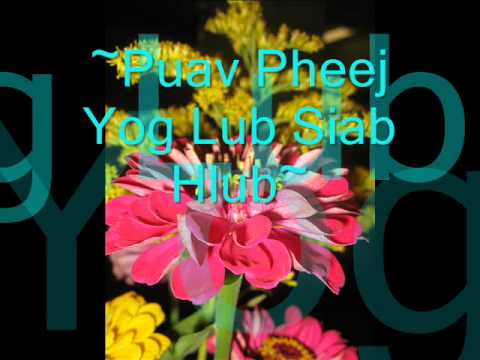 puav pheej yog siab hlub.wmv