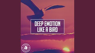 Like A Bird (Radio Edit)