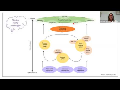 Settimana mondiale del cervello - Università degli Studi di Brescia "La stagione della perdita"
