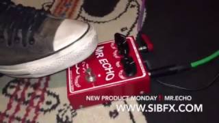 SIB Electronics Mr. Echo - What To Know & Where To Buy | Equipboard