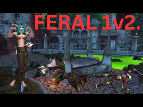 THIS is WHAT 100000 hours of FERAL druid looks like (1v2 WOTLK ARENA)