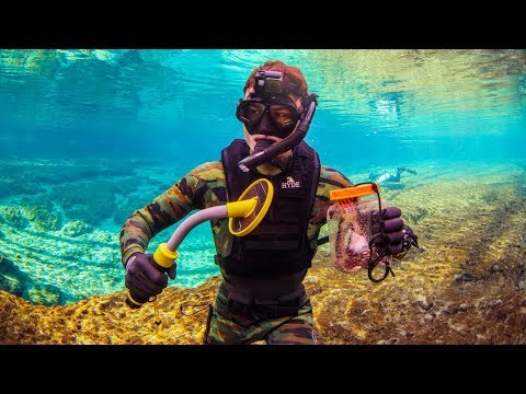 Found 20 Bullets Metal Detecting Underwater in a Public Swimming Spot! (Snorkeling) | DALLMYD