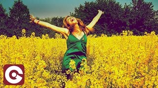 PROVENZANO FT  SCARLET - Sunshine & Happiness (Original Mix)