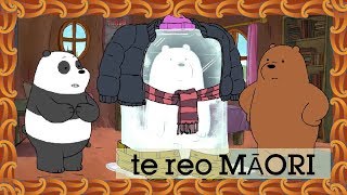 We Bare Bears | Frozen Ice (Māori) | Cartoon Network