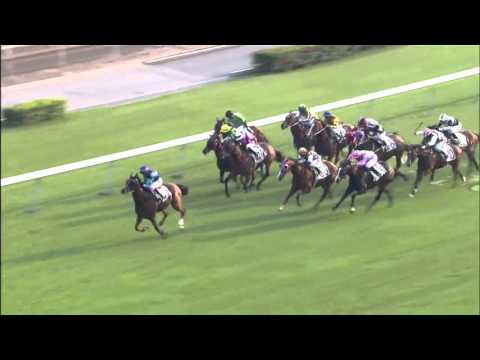 Brilliant Dream - Karis Teetan (29 November)