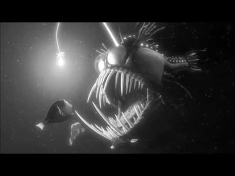 Function - For Berghain -