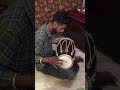 Dholak Bollywood Chetramgilldholaktabladhol6376