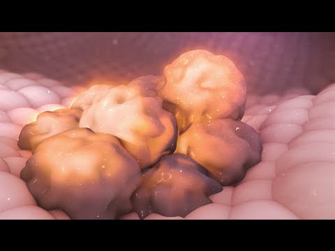 image-What are the deficiency symptoms of cobalt?