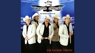 Quiero Cantarte a Ti