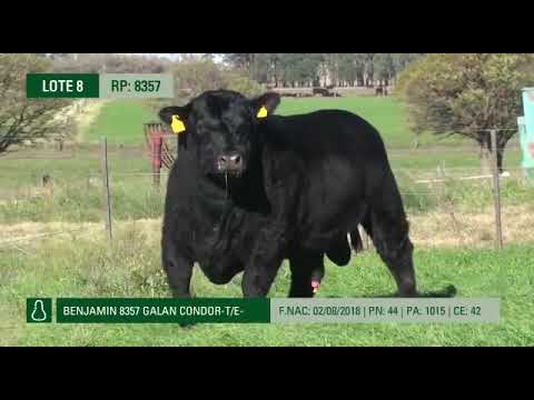 Cabaña Don Benjamin  -  8357