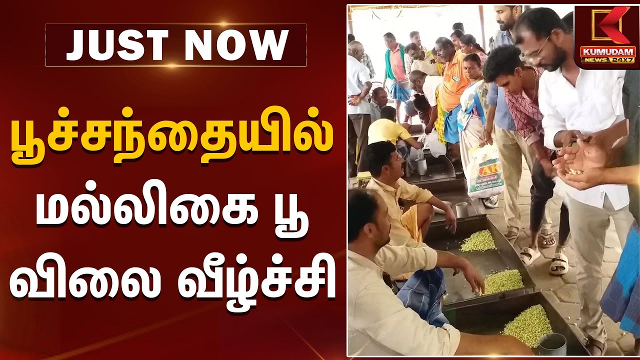 பூச்சந்தையில் மல்லிகை பூ விலை வீழ்ச்சி | flower price hike | Kumudam News