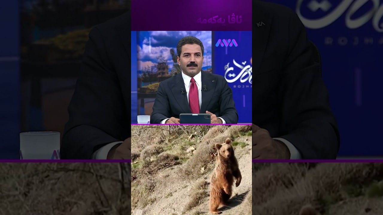 ڤیدیۆ | لە ئیلام دوو کەس ورچێکی دەگمەن دەکوژن