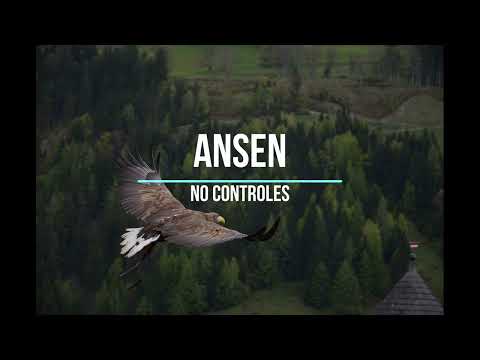 Ansen - No controles (ukulele) Flans cover