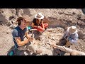 THEY LET ME DIG DINOSAUR BONES! (I Broke One! 😱)