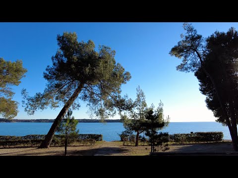 Novigrad (Istria-🇭🇷Croatia): A winter walk through the empty campsite and deserted beaches
