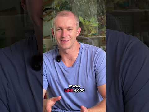 Siamo stati fregati dalla United Airlines