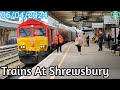 Trains at Shrewsbury 06/04/2024 (4K)