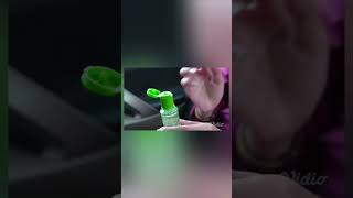 Download lagu FTV Shanice Margarerha Tutor Jagain Jodoh Orang #ftv #shanicemargaretha #shorts mp3