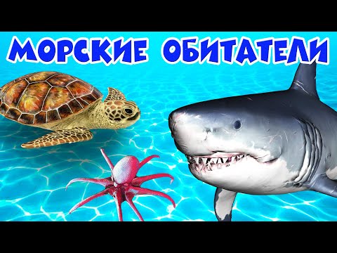 Обитатели морей и океанов 🐠 Развивающие мультики 🐟 Морские животные 🐬 Подводный мир