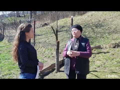 Brânză zburată, rețetă povestită, Goioasa, Bacău