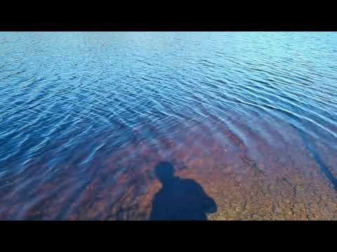 DEN LÅNGA HALVÖN - norr om Karlsnäsgården - RASLÅNGEN - Ronnebyån - 2022-05-09 - Huawei P40 PRO