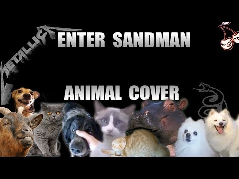 Metallica - Enter Sandman (Animal Cover)