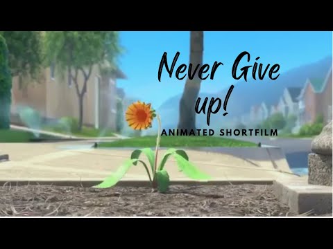Never Give up on your dreams! - Motivational animated short film