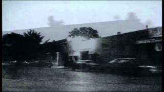 Mano negra-Salga La Luna-PATCHANGA