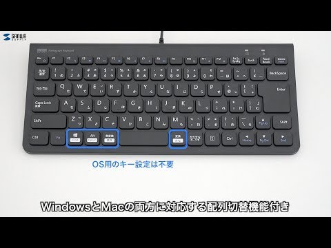 スリムキーボード ブラック SKB-SL32BK [有線 /USB] サンワサプライ