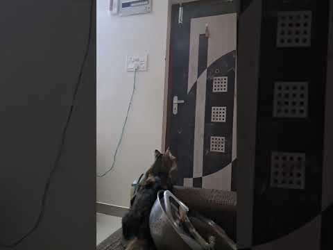 Kiara waiting for someone