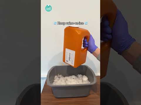 NCLEX Facts: 24-hour urine collection 💦🧻🚽 #RN #BSN #futurenurse