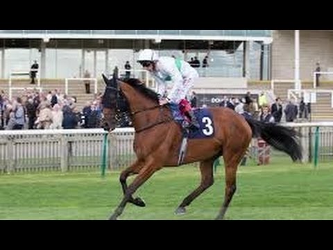 Yorkshire Cup 4.05 York Selection...NON RUNNER HOW ANNOYING