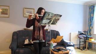 Me playing 'Lily's Theme' on flute