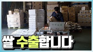 농업, 농사, 쌀 수출합니다