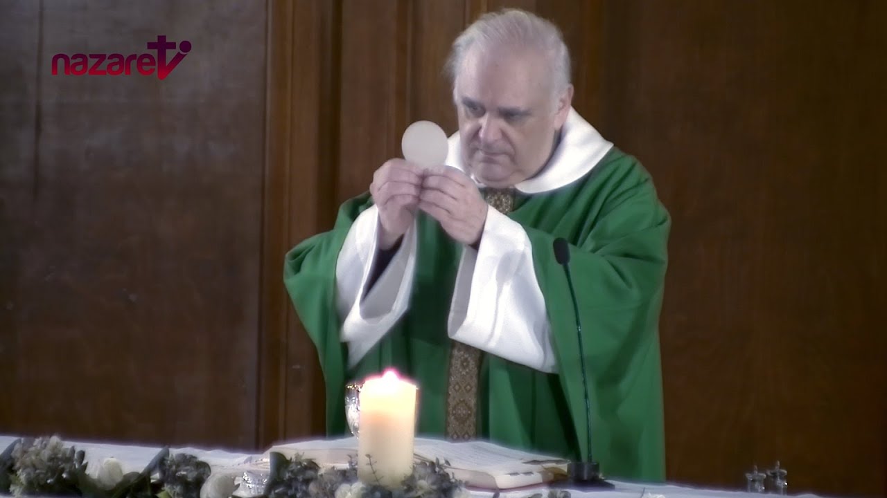 Santa Misa de hoy jueves 31 de octubre de 2024. Rvdo. Enric Ribas, pbro.