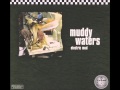 Muddy Waters - Tom Cat [HD]