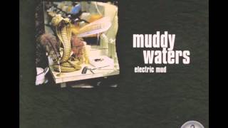 Muddy Waters - Tom Cat [HD]