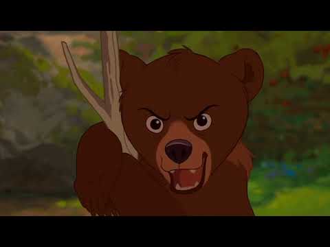 Tierra de osos (2003)