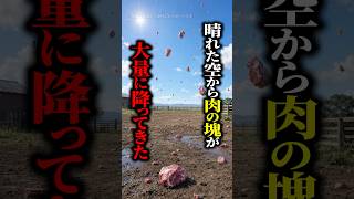 【実話】空から肉が降ってきた！？150年前のアメリカで起きた奇妙な現象→その意外な真相とは #shorts