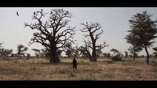 Isiah Shaka featuring Bass Dramé - Terre de mes Ancêtres (Clip Officiel) AFRICA
