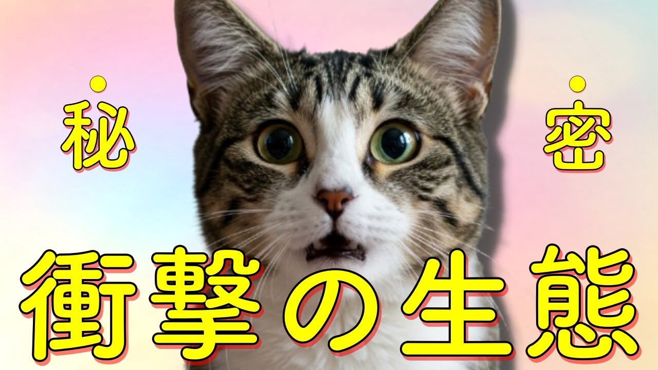 【衝撃】猫の秘密を知ったらもう飼わずにはいられない…！驚きの生態10選
