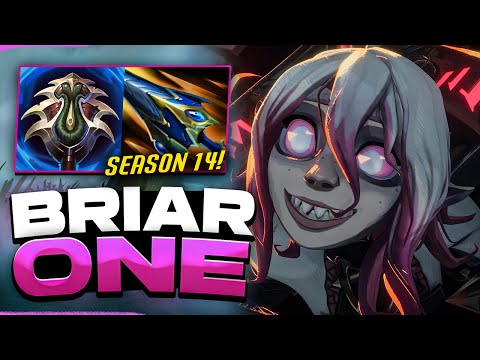 NEW S14 Briar Hybrid Bruiser Build CARRY | Indepth Guide Learn
