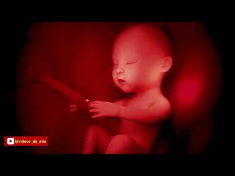VIDEO RELAXANTE/bebê-criança- infantil #bebê #video #sleep